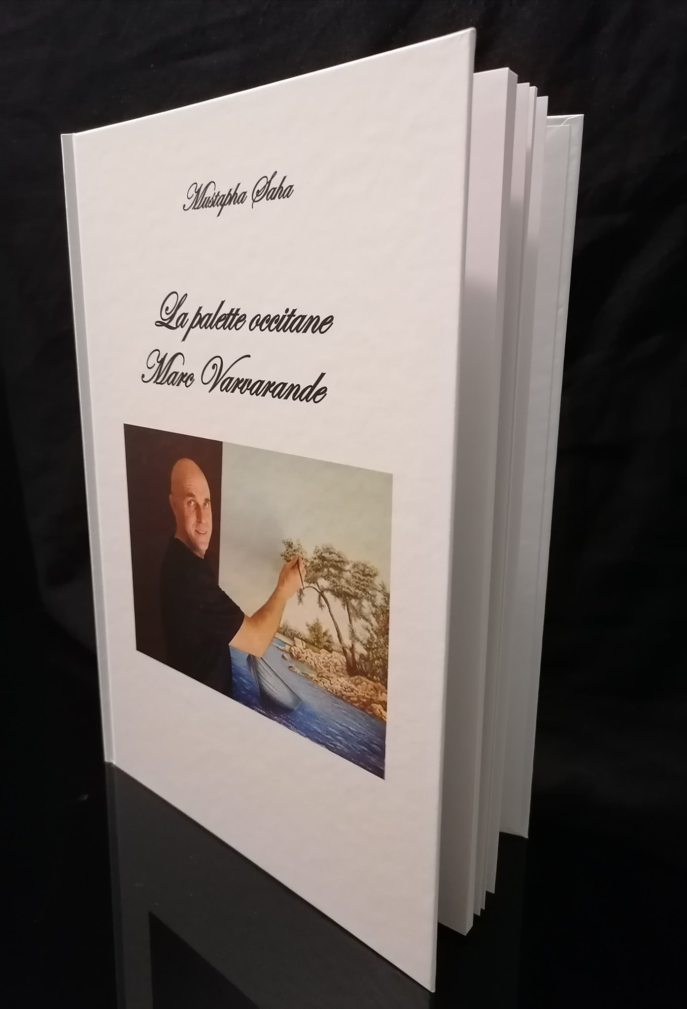livre la_palette_occitane